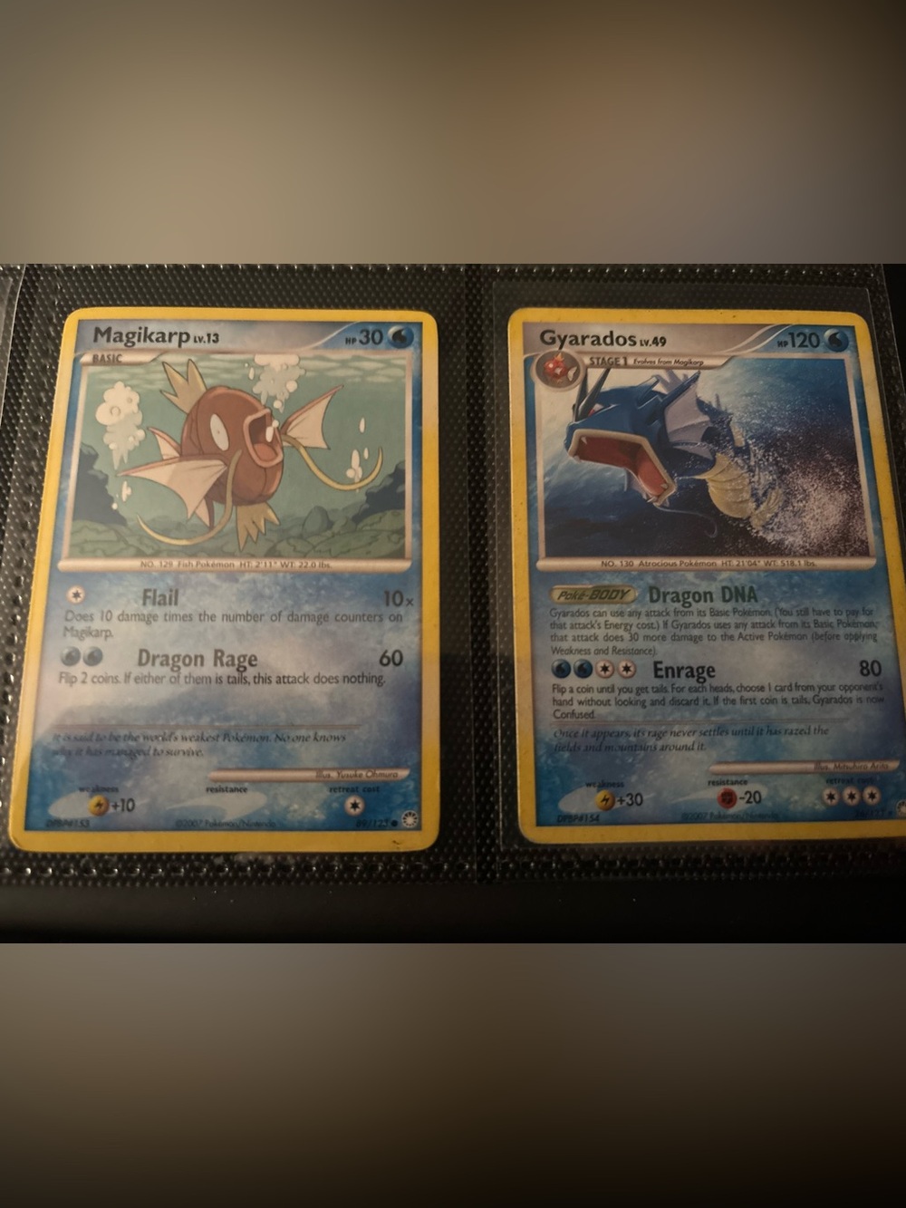 Pokemon Magikarp & Gyarados Cards with Yellow Borders